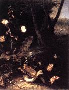 SCHRIECK, Otto Marseus van Still-life with Plants and Reptiles ery USA oil painting artist